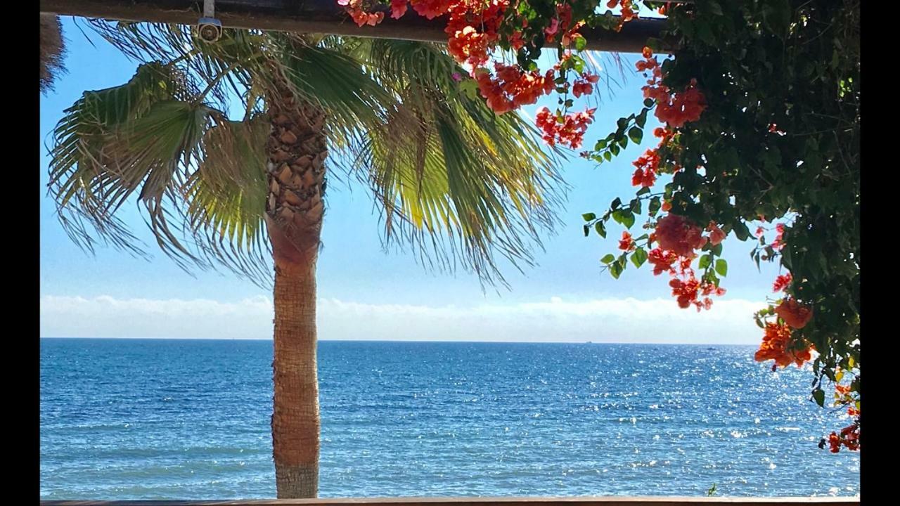 Mi Capricho 9C Beachfront- Apartment With Sea View - Costa Del Sol Ла-Кала-де-Михас Экстерьер фото